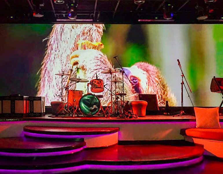 Indoor LED display